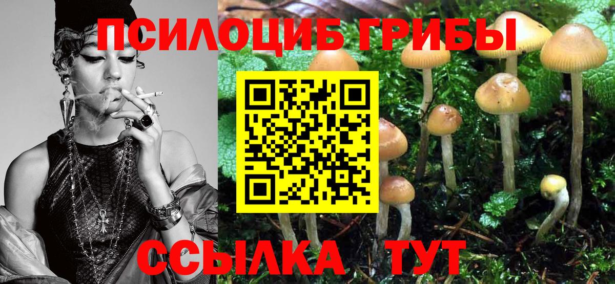где продают   Вход с VPN  Грязи  Галлюциногенные грибы GOLDEN TEACHER 